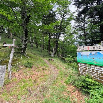 稲村ケ岳山荘まで戻りレンゲ辻へ