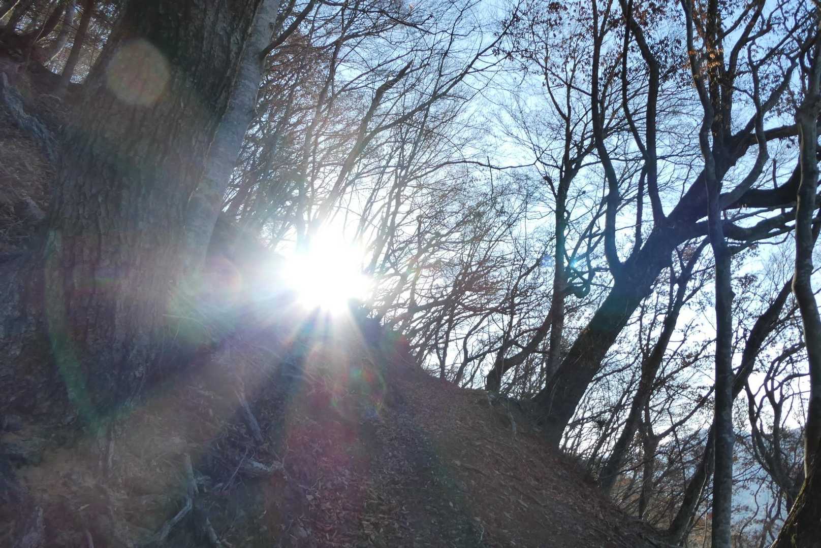 朝日🌄