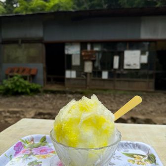 観音茶屋でシメのかき氷。
疲労困憊で下山してくる方々を眺めながらゆったり食べるかき氷は美味しいです。自分もこの後頑張って下山しなければいけないけど。