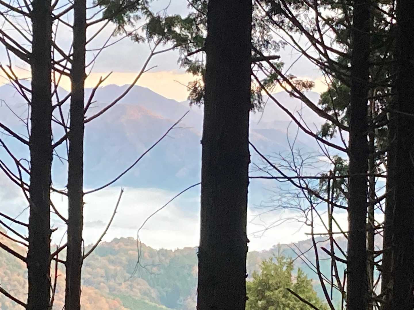 こっちは雲海出てるやん😭