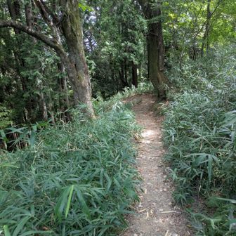 木ノ本駅方面に下山します