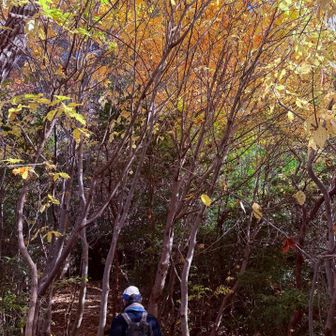 旦那様も今日は一度もねをあげず快調🎵