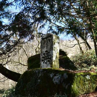 ここから奉幣殿まで、籠が上がった、馬が上がった論争勃発🤣