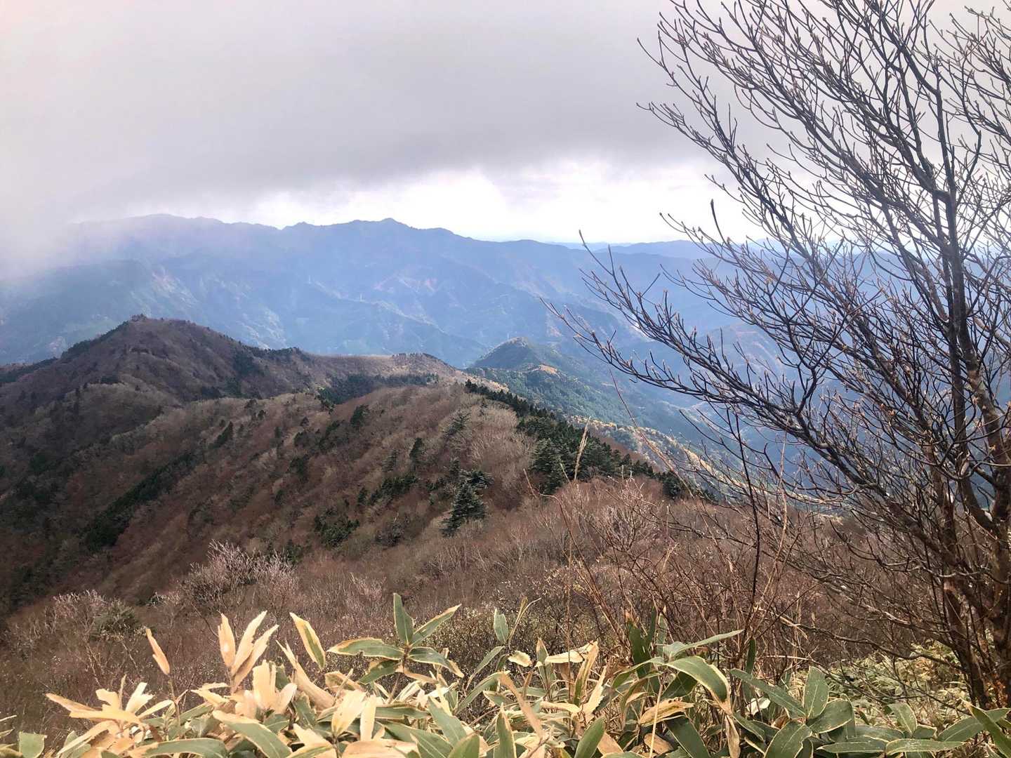 登って来た方向