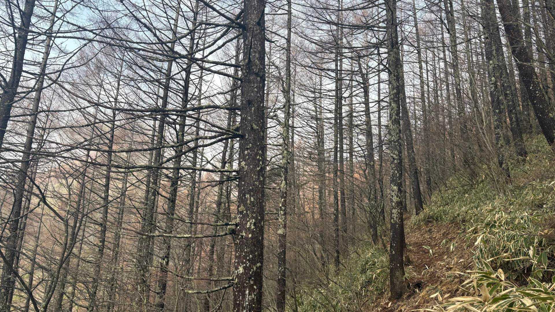 緩いけど景色が変わらずを進んでる感じがしない😅