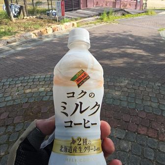 朝のコーヒータイム