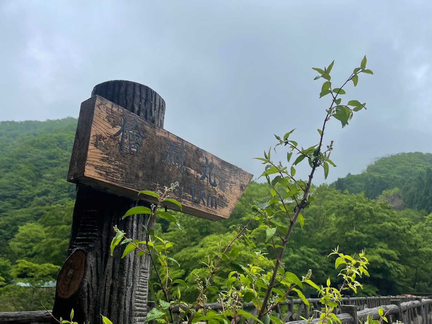 西丹沢ビジターセンターバス停-ツツジ新道入口-檜洞丸-テシ 周回コースの写真