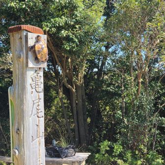 山頂は気温23度で強風