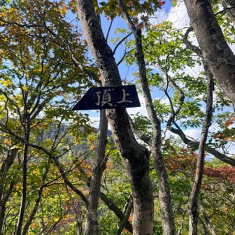 登り切ると⬅️頂上との案内板