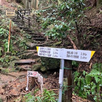 天然記念物 日本猿の生息地です。この時期は居ませんがヒルも生息しています。