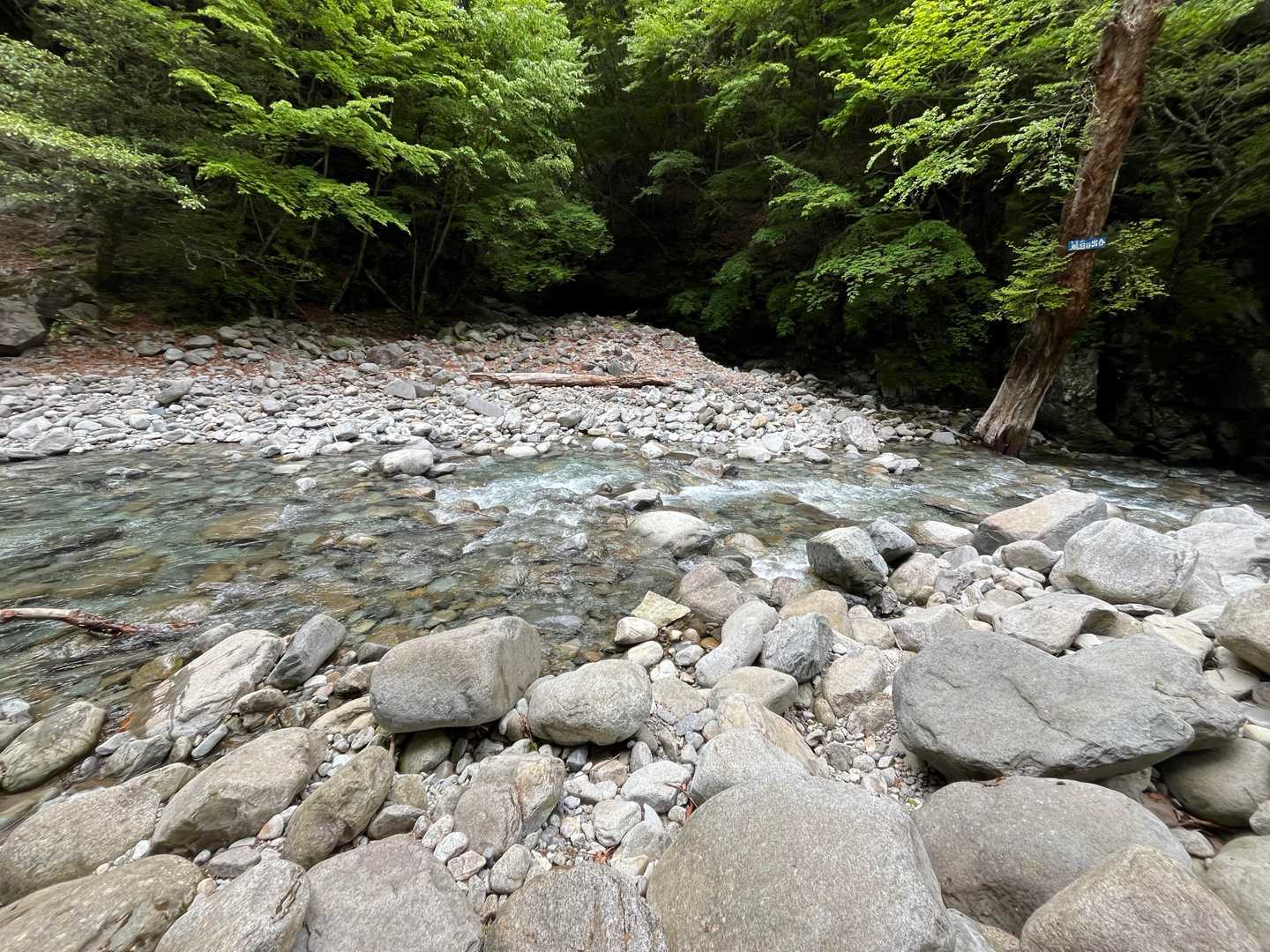 渡川後に
右上の木の鶏冠谷出合という看板、どうやってつけたのだろう？