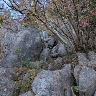 気を取り直して岩登り再開。
所々で迷ってしまったのでピンクテープを探しながら慎重に💦