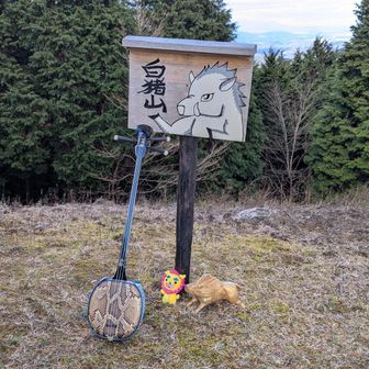 白猪山山頂で山三線🪕