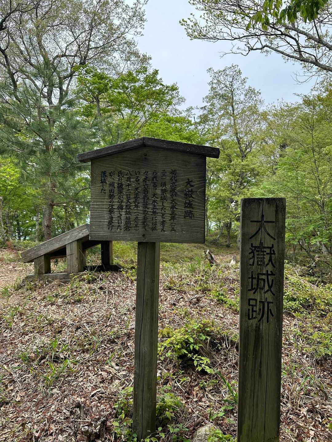 大嶽（おおづく）城跡🏯