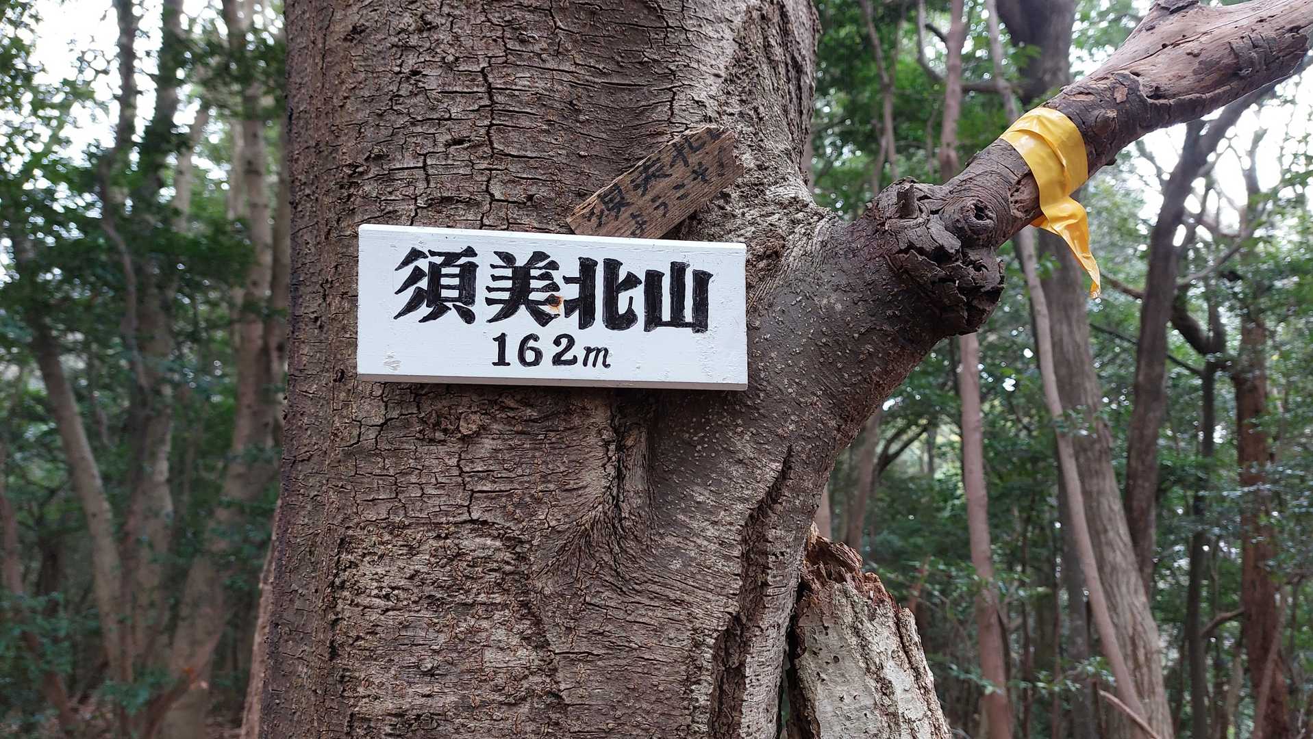 藪漕ぎ、藪漕ぎで、
やっと、須美北山山頂へ