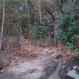 ゲートを開けて登ります
ここの施錠法が改善されていました
前は鉄筋を縦に差しているを抜き差ししていましたが今はカラナビ、針金で固定です