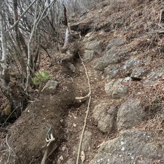 十二ヶ岳終わったのに、またロープ出現…