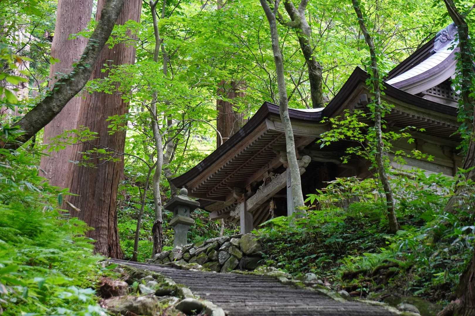 2446段の石段を登り、天空へと向かう
