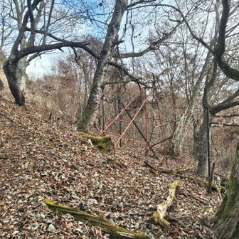 林業関係以外使う人いるのかなといつも思う🪜