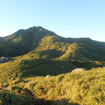 笹の草原を進んでいく