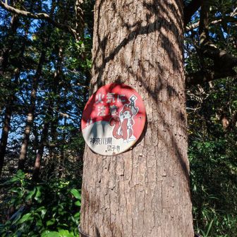 リス君、お久しぶりです。