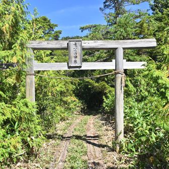 鳥居まで着くと四十八池はすぐそこ