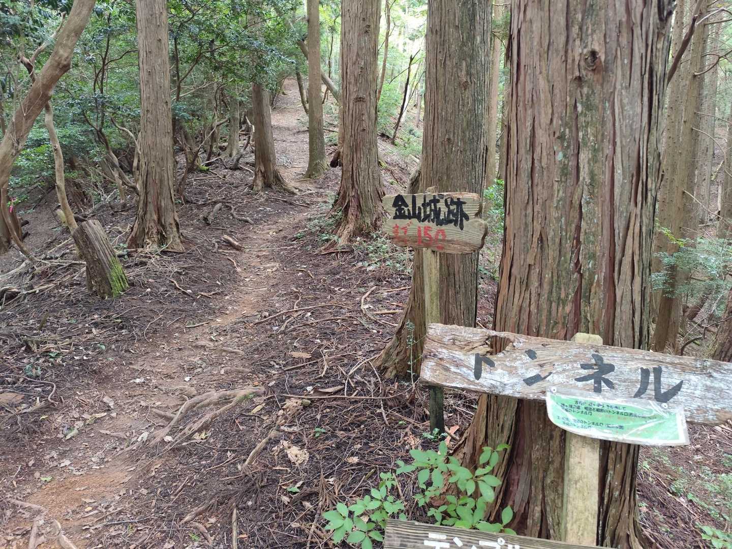 歩きやすい道