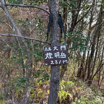 燈明岳
ここから先は整備されている