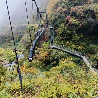 これは!?
パイプが外れています
昔は温泉♨️を通していたと思われます