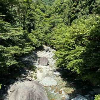 吊り橋から．