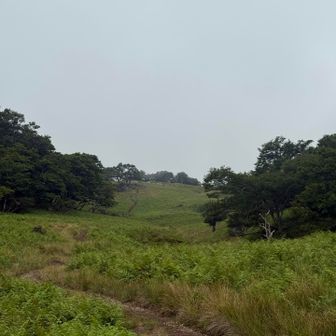 鈴北岳方面の道はテーブルランドって言われる静岡や山梨では見ない景色で楽しい😃