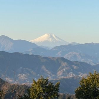 日の出前の暗い６号路を登って、高尾山山頂
昨日の黄砂は落ち着くという予報だったけれど、富士山が霞んでいるのは、まだ黄砂の影響が残っているのかしら？