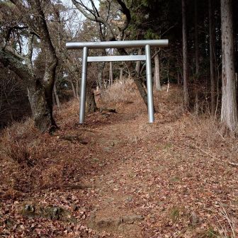 神社の鳥居をくぐります