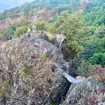 津波戸山（R8-173） / KEINの登山データ | YAMAP / ヤマップ
