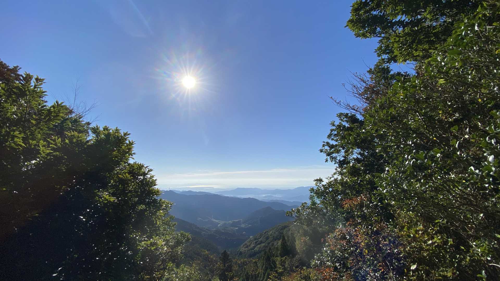 作礼山登山口-作礼山 往復コースの写真