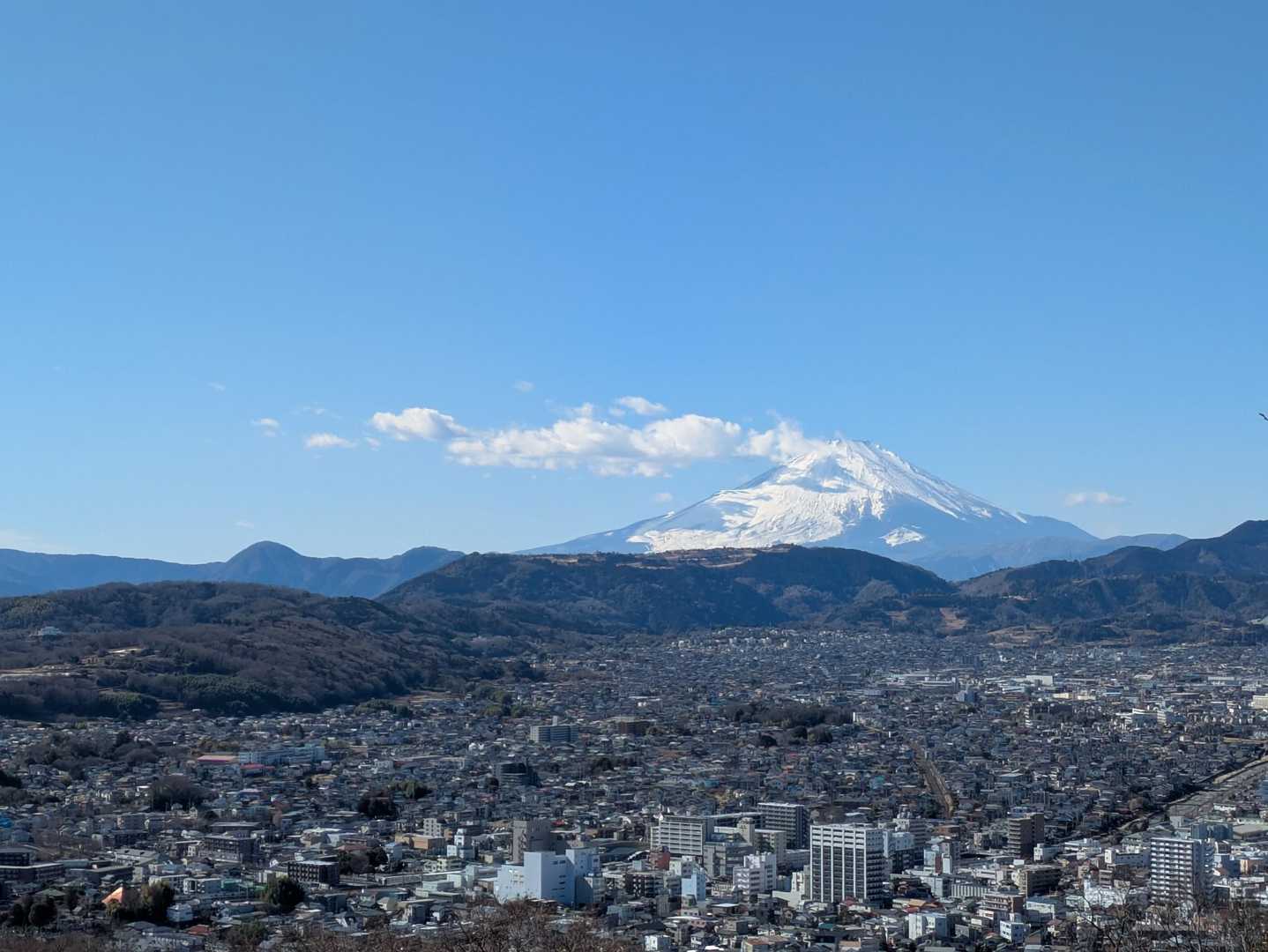 秦野駅-弘法山公園入口登山口-権現山-弘法山-善波峠-善波 縦走コースの写真