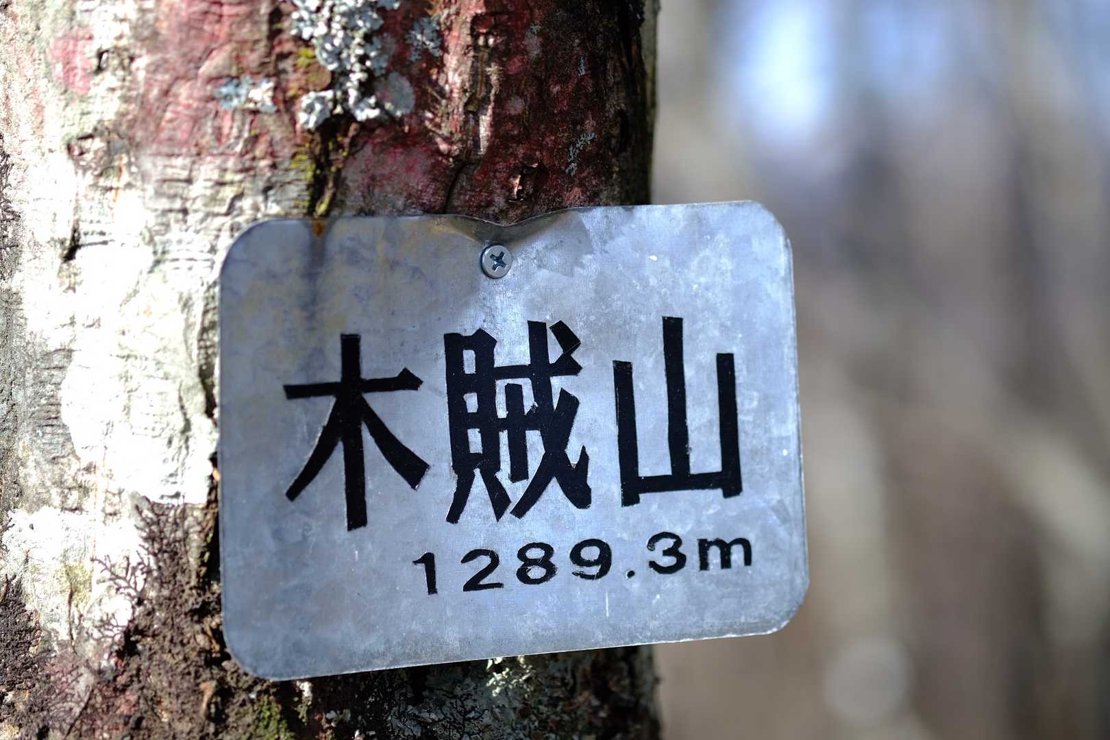 先に木賊山に向かう。
とくさやまと読みます。

木々の間から、武尊山や日光白根山が見えました。