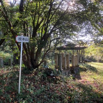 少し登れば根本山の山頂。
車があった。
舗装はされていないが登ってこれるらしい。
まぁ低めの山だとたまにある。