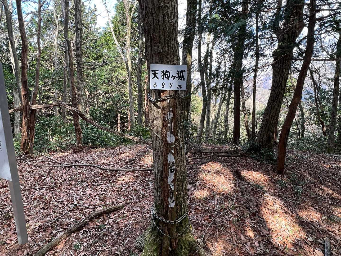 地味な山頂