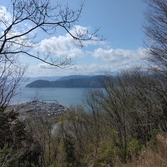 葛籠尾崎が見える。桜シーズに奥びわ湖パークウェーイをドライブすると気持ち良いですが、パークウェーイはこの前途中からバリケードで通行止めでした。多分、今もかな？