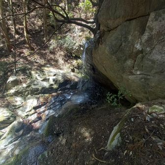 登山道から少しそれると不動滝があります。