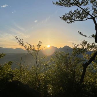 ミーコとんとん