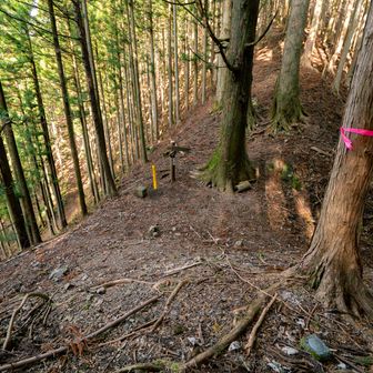 とにかく道が分かりにくい