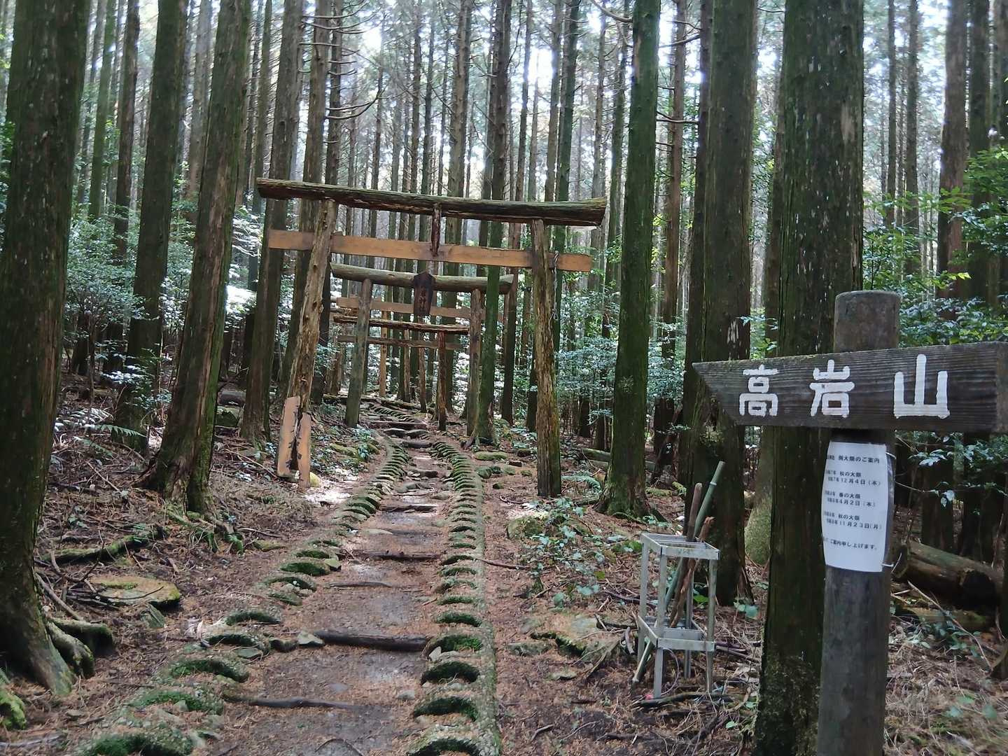 鳥居たくさんあります