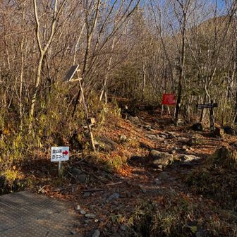 C→Ｂで行きました