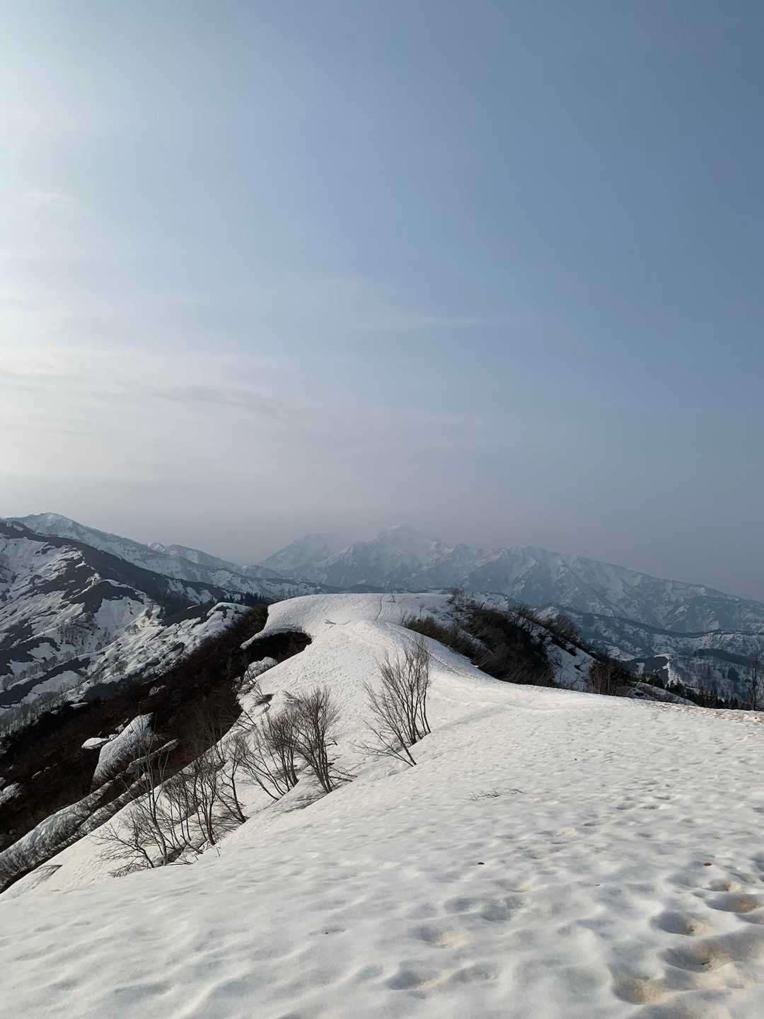 大力山 往復コースの写真