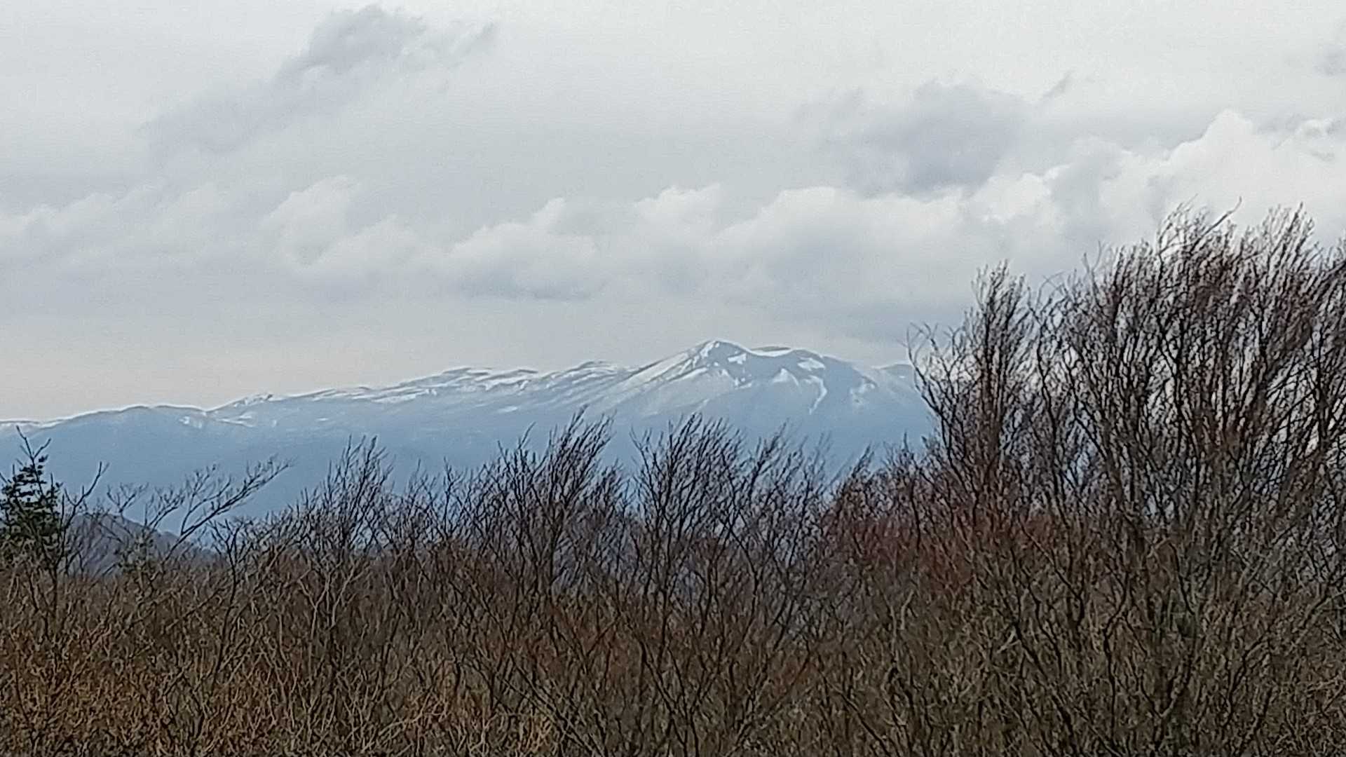 萬歳楽山登山口-萬歳楽山 往復コースの写真