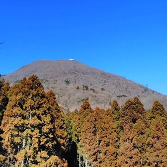 駐車場まで下ってきました。朝は寒かったですが、もうポカポカの春の陽気