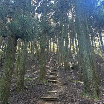 江川岳へ🏃‍➡️