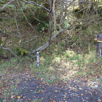 五合目・2305m
五合目付近には、小屋跡がたくさんあった。昔は、下から登って、この辺りで宿泊してから、頂上を目指したんだろう。
